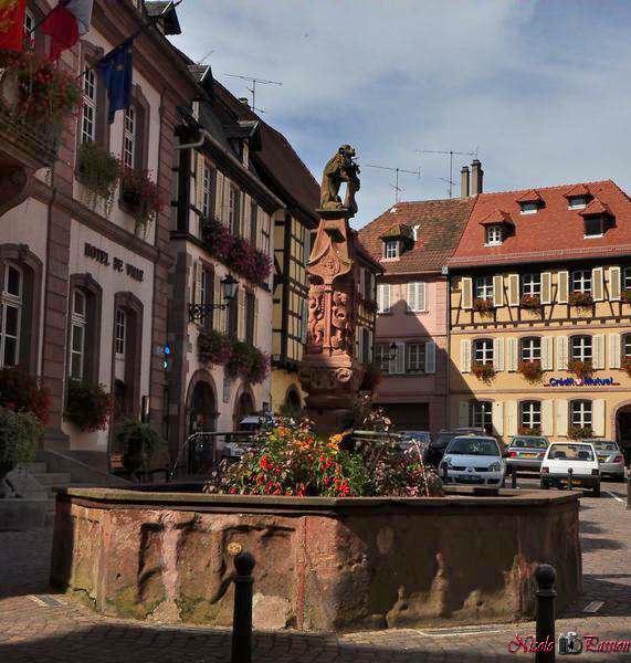 Porte Des Pucelles Vila Ribeauvillé Quarto foto